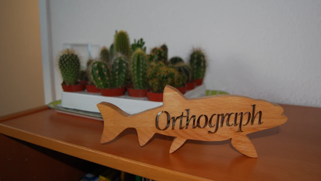 Nachhaltige Belohnungen im LOS Siegen Nachhaltige Belohnungen im LOS Siegen